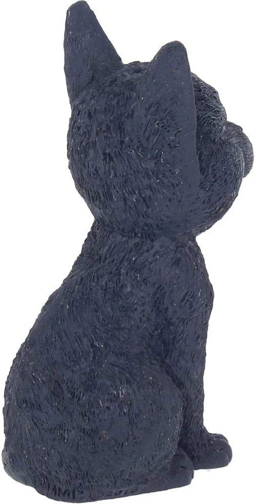 Magicun N.Giftware~Count Kitty, Resin, Black, One Size