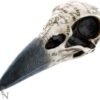 Dark Collection~Edgar's Raven Skull Figurine 25cm Ivory