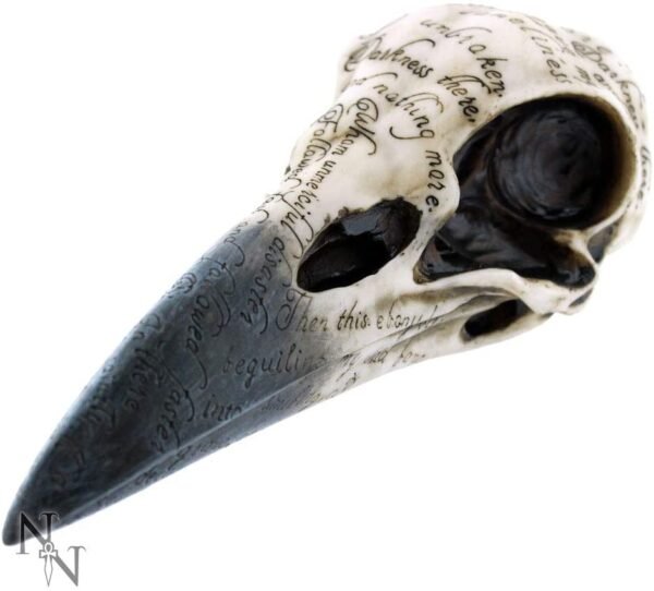 Dark Collection~Edgar's Raven Skull Figurine 25cm Ivory