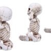 Dark Collection~See No, Hear No, Speak No Evil Skellywag Skeleton Figurines, Polyresin, Natural Bone Colour, One Size