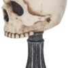 Magicun N.Giftware~Skull Chalice Anne Stokes Goblet 17.8cm Ivory, Resin w/Stainless Steel Insert, One Size