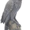 Magicun N.Giftware~Ravens Rest Figurine 20cm Black