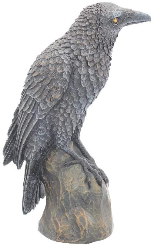 Magicun N.Giftware~Ravens Rest Figurine 20cm Black