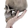 Band Merchandise~ Metallica Sad But True Skull 22cm, Resin, Taupe