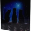 Magicun N.Giftware~Wish Upon a Star Small Crystal Clear Picture 25cm, us:one Size, Black