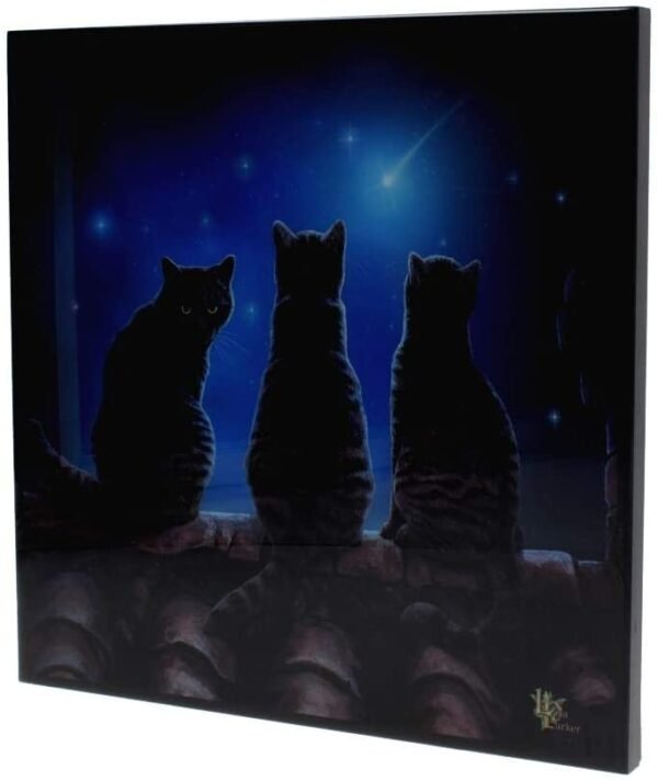 Magicun N.Giftware~Wish Upon a Star Small Crystal Clear Picture 25cm, us:one Size, Black