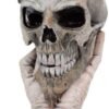 Band Merchandise~ Metallica Sad But True Skull 22cm, Resin, Taupe