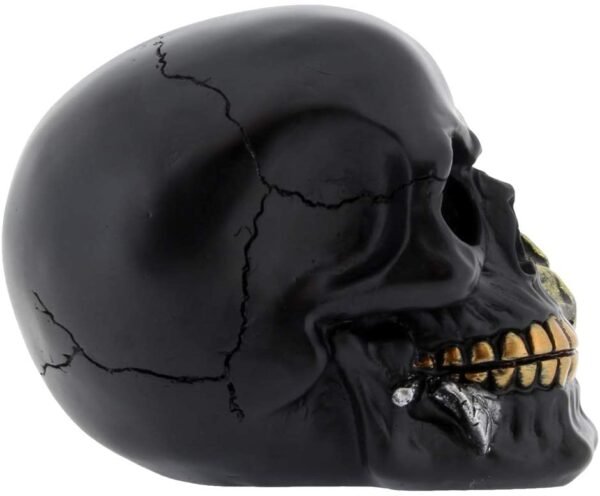 Dark Collection~Black Rose from The Dead 15cm