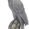 Magicun N.Giftware~Ravens Rest Figurine 20cm Black