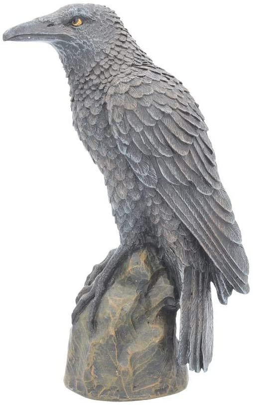 Magicun N.Giftware~Ravens Rest Figurine 20cm Black