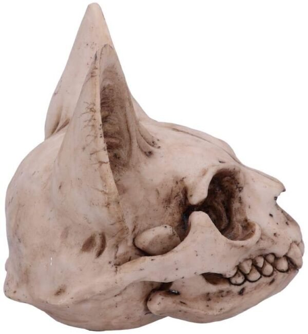 Wiccan Collection~Bastet's Secret Cat Skull Figurine Ornament, Natural Bone Colour, One Size