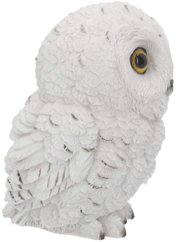Magicun N.Giftware~Winters Wisdom 19cm Figurine, White