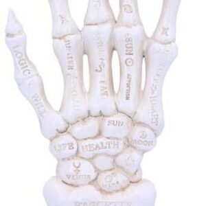 Wiccan Collection~U4942R0 Skeletal Palmistry Chriomancy Fortune Telling Skeleton Hand Figurine, Polyresin, White, 22.8cm
