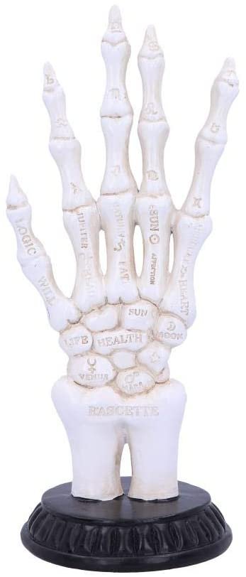 Wiccan Collection~U4942R0 Skeletal Palmistry Chriomancy Fortune Telling Skeleton Hand Figurine, Polyresin, White, 22.8cm