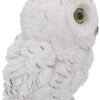 Animal Collection~ Winters Wisdom 19cm Figurine, White
