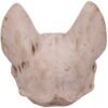 Wiccan Collection~Bastet's Secret Cat Skull Figurine Ornament, Natural Bone Colour, One Size