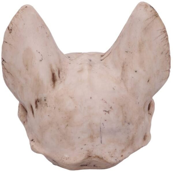 Wiccan Collection~Bastet's Secret Cat Skull Figurine Ornament, Natural Bone Colour, One Size