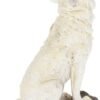 Animal Collection~ H2521G6 Storms Cry Figurine 22cm White