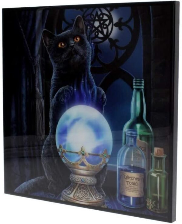 Magicun N.Giftware~Witches Apprentice Small Lisa Parker Crystal Clear Picture 26cm Blue, MDF and Resin, One Size