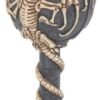 Fantasy Collection~ Dragon Remains Goblet 19cm, Resin w/stainless steel insert, Black, One Size