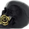 Dark Collection~Black Rose from The Dead 15cm