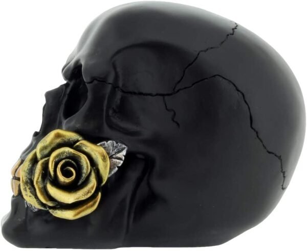 Dark Collection~Black Rose from The Dead 15cm