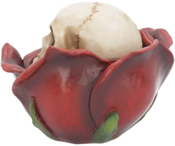 Magicun N.Giftware~Beauty and The Deceased 12.5cm Box, Red