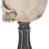 Artist Collections~ Skull Chalice Anne Stokes Goblet 17.8cm Ivory, Resin w/Stainless Steel Insert