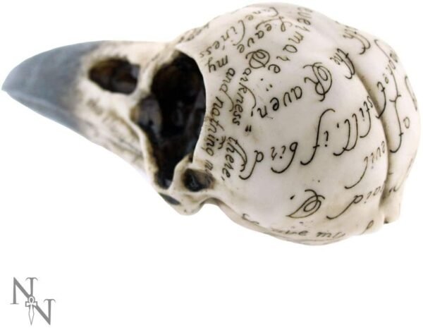 Dark Collection~Edgar's Raven Skull Figurine 25cm Ivory
