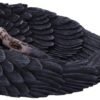 Dark Collection~Edgar Allen Poe's Nevermore Raven Skull Trinket Holder Jewellery Dish, Black, 17cm
