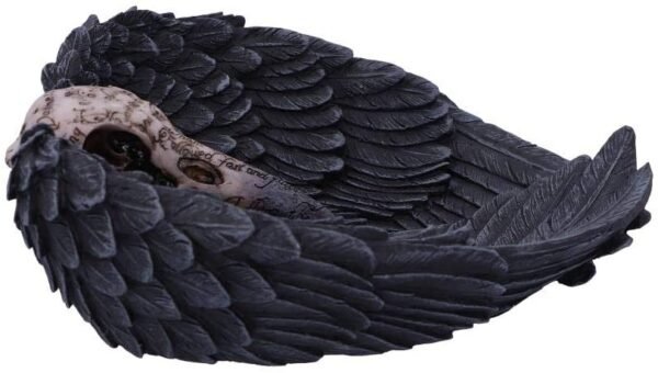 Dark Collection~Edgar Allen Poe's Nevermore Raven Skull Trinket Holder Jewellery Dish, Black, 17cm