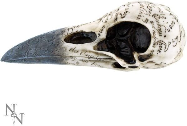 Dark Collection~Edgar's Raven Skull Figurine 25cm Ivory