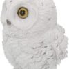 Magicun N.Giftware~Winters Wisdom 19cm Figurine, White