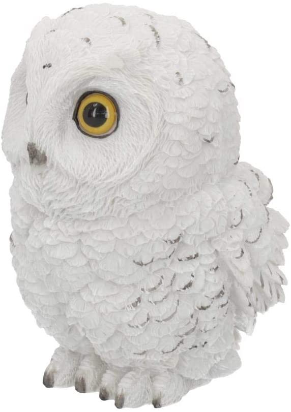 Magicun N.Giftware~Winters Wisdom 19cm Figurine, White