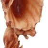 Animal Collection~ H5034R0 Natural Protection Wolf Mother and Cub Wood Effect Bust, Polyresin, One Size