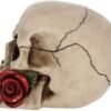 Dark Collection~NEM3721 Rose From the Dead Figurine 13.5cm Ivory