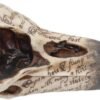 Dark Collection~Edgar's Raven Skull Figurine 25cm Ivory