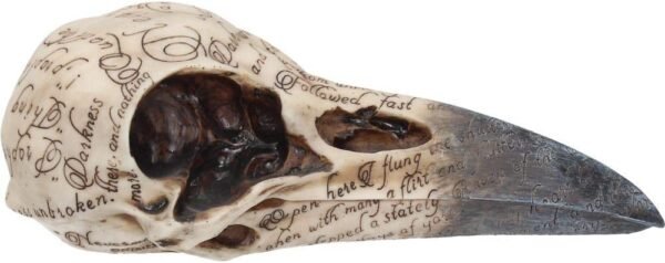 Dark Collection~Edgar's Raven Skull Figurine 25cm Ivory
