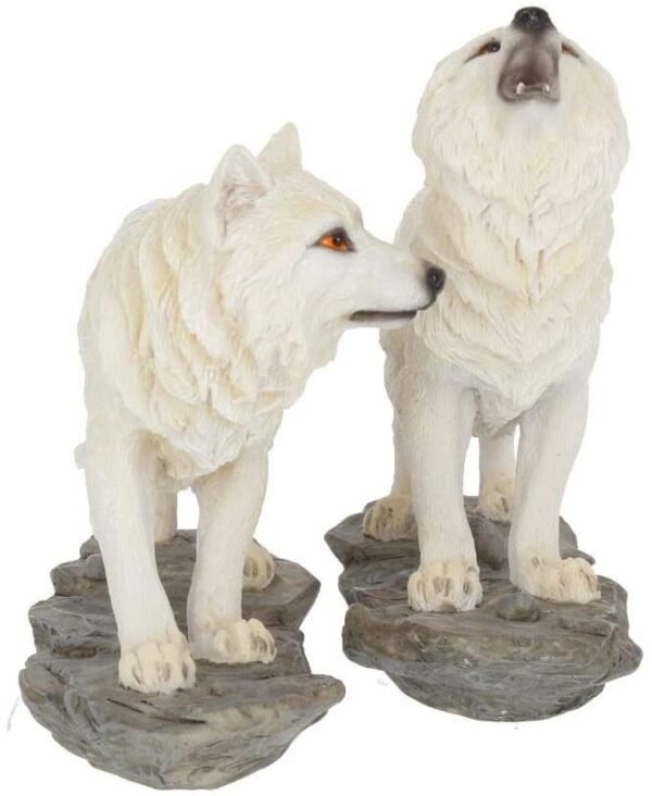Animal Collection~ Watchers Set of 2 15.6cm Figurine, White