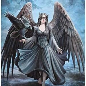 Spirit of Equinox 19X25CM RAVEN CANVAS PLAQUE BY ANNE STOKES