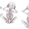 Dark Collection~See No, Hear No, Speak No Evil Skellywag Skeleton Figurines, Polyresin, Natural Bone Colour, One Size