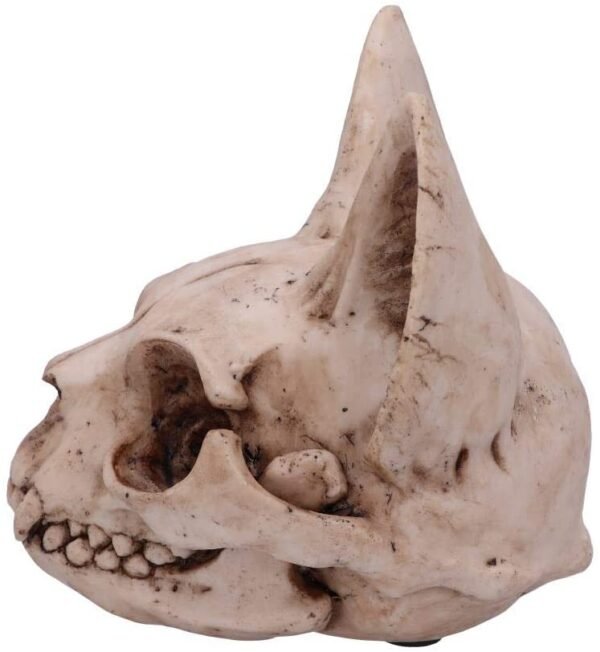 Wiccan Collection~Bastet's Secret Cat Skull Figurine Ornament, Natural Bone Colour, One Size