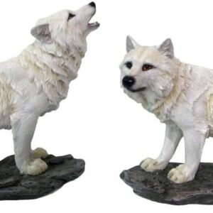 51q5HDeLaBL._AC_SL1000 Magicun N.Giftware~Watchers Set of 2 15.6cm Figurine, White