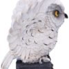 Wiccan Collection~Archimedes White Horned Owl Perched on a Locked Box Figurine, 12.5cm