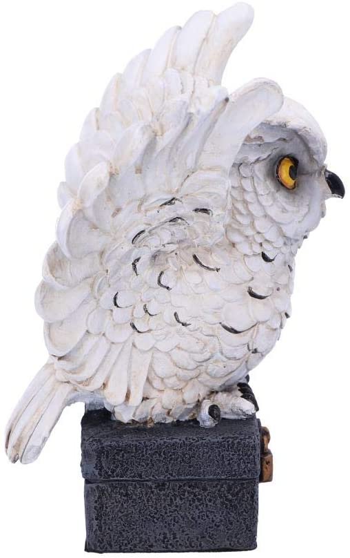 Wiccan Collection~Archimedes White Horned Owl Perched on a Locked Box Figurine, 12.5cm