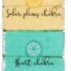 The Seven Chakras Wall Plaque