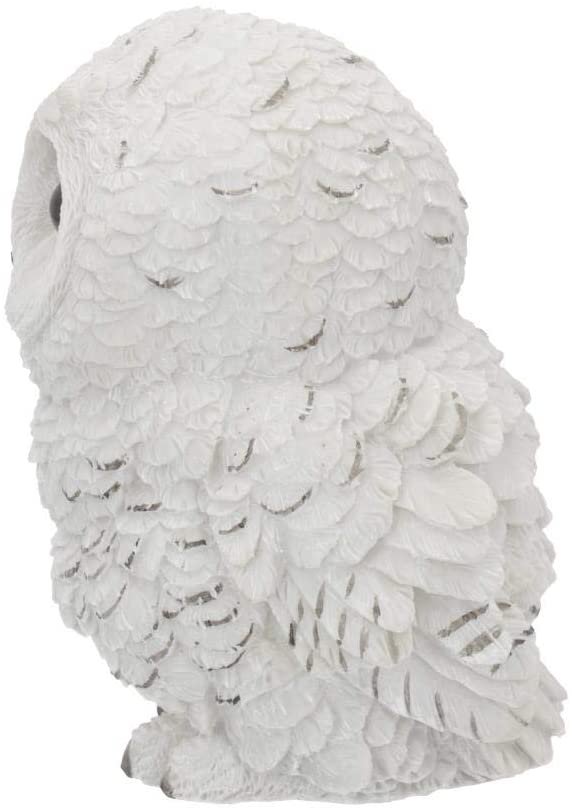 Magicun N.Giftware~Winters Wisdom 19cm Figurine, White
