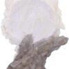Magicun N.Giftware~Snow Searcher Wolf Bust 12cm, Polyresin, White, One Size