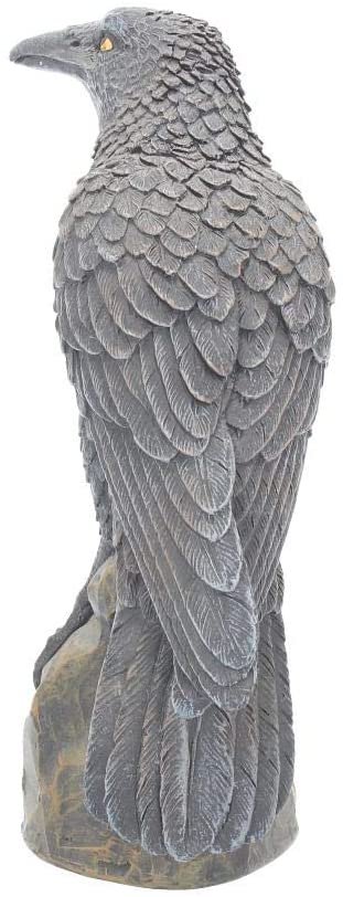 Magicun N.Giftware~Ravens Rest Figurine 20cm Black