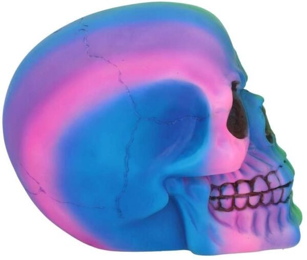 Dark Collection~U5084R0 Rainbow Skull 15.5cm, Polyresin, Multi-Coloured, One Size
